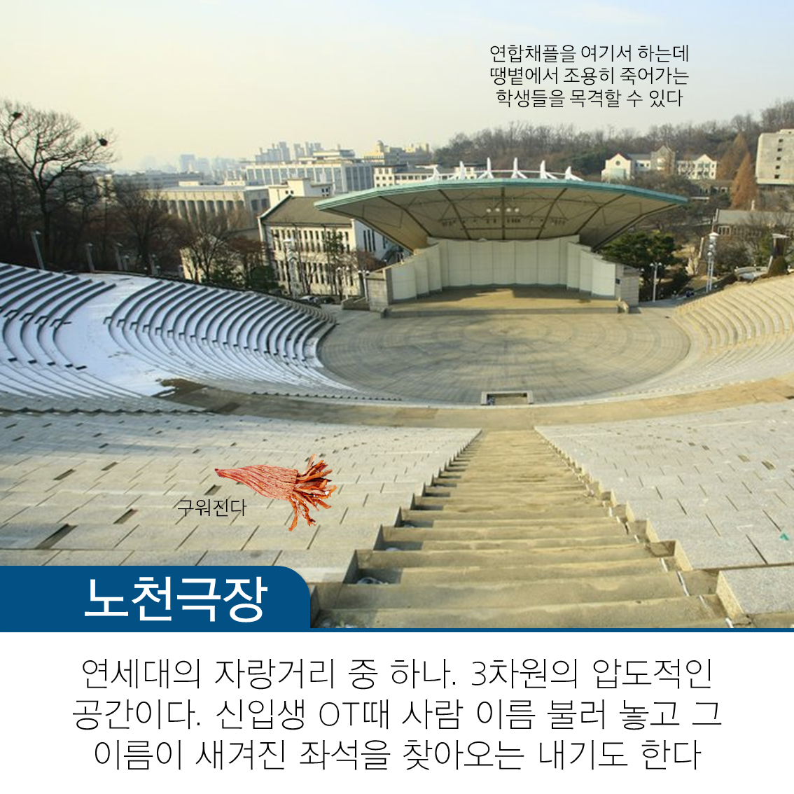 리얼 라이브 대학생활 캠퍼스 어땍! - 연세대 편